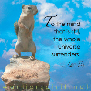 Warrior Spirit meme ground squirrel on rock with Lao Tzu quote: To the mind that is still, the whole universe surrenders.