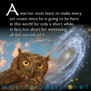 Warrior Spirit meme with owl and spiral galaxy and quote by Don Juan Matus , A warrior must learn to make every act count