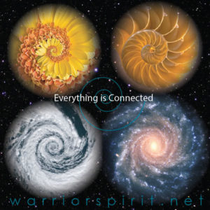 everything is connected, showing flower, nautilus shell, hurricane, galaxy all in same spiral pattern