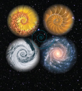 spiral galaxy, hurricane spiral, nautilus spiral, flower pattern spiral